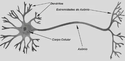 neuronio